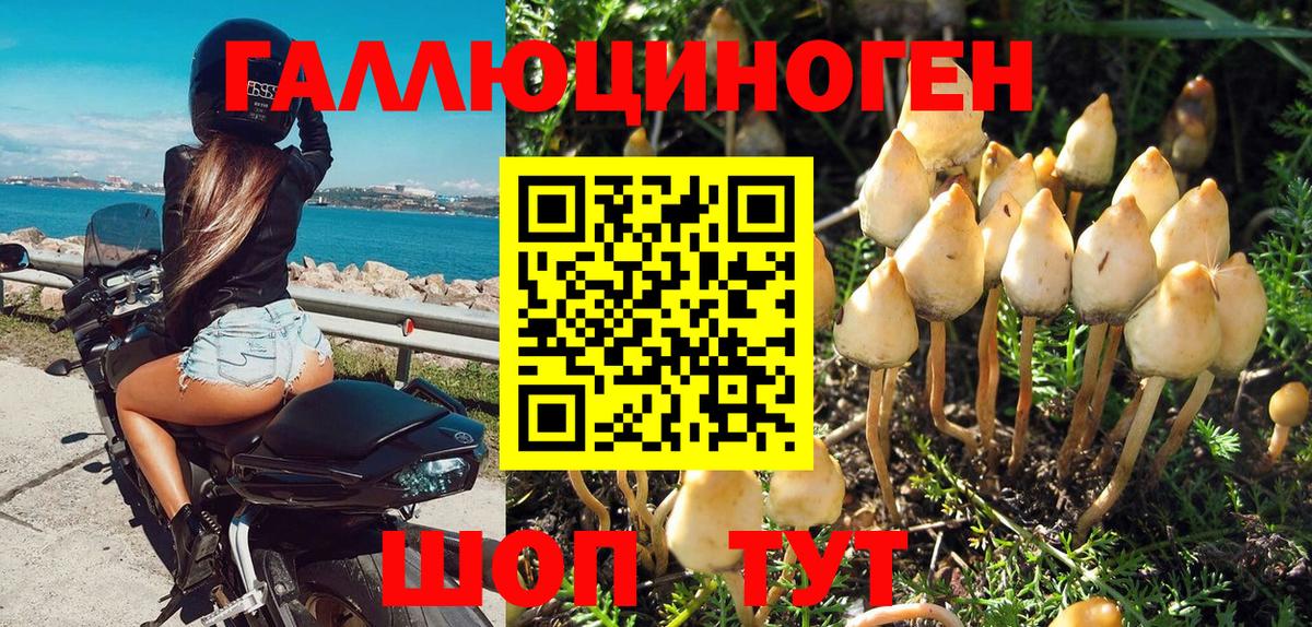 Псилоцибиновые грибы мицелий Кимовск