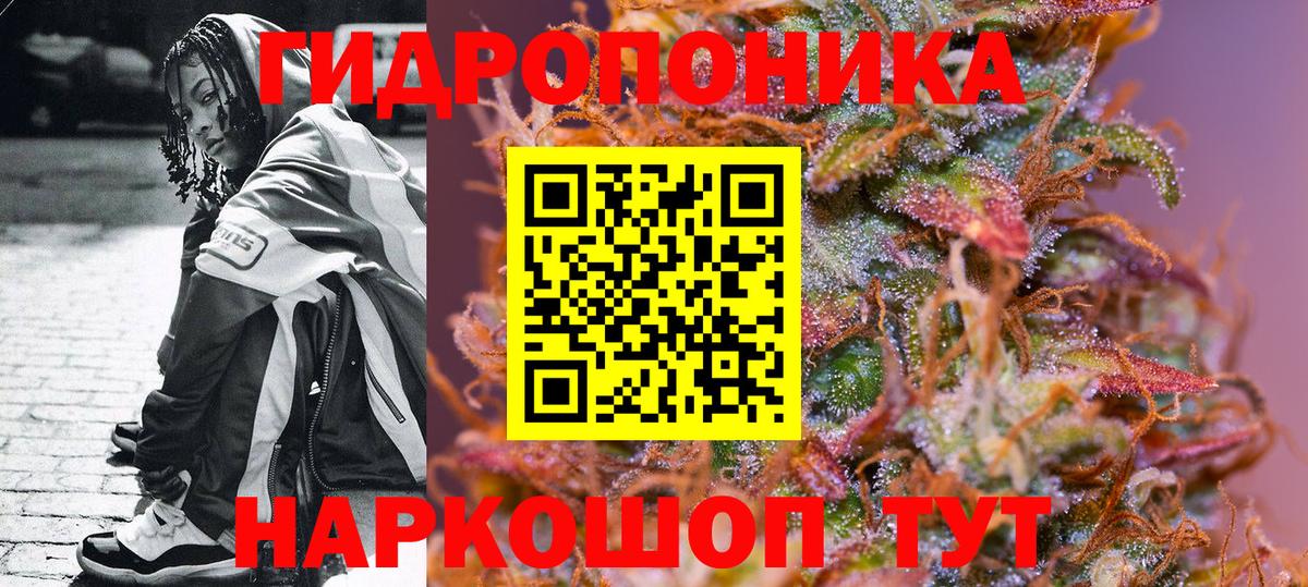 Марихуана индика  Вход с VPN  Кимовск  Марихуана VHQ  МАРИХУАНА ГИДРОПОН 